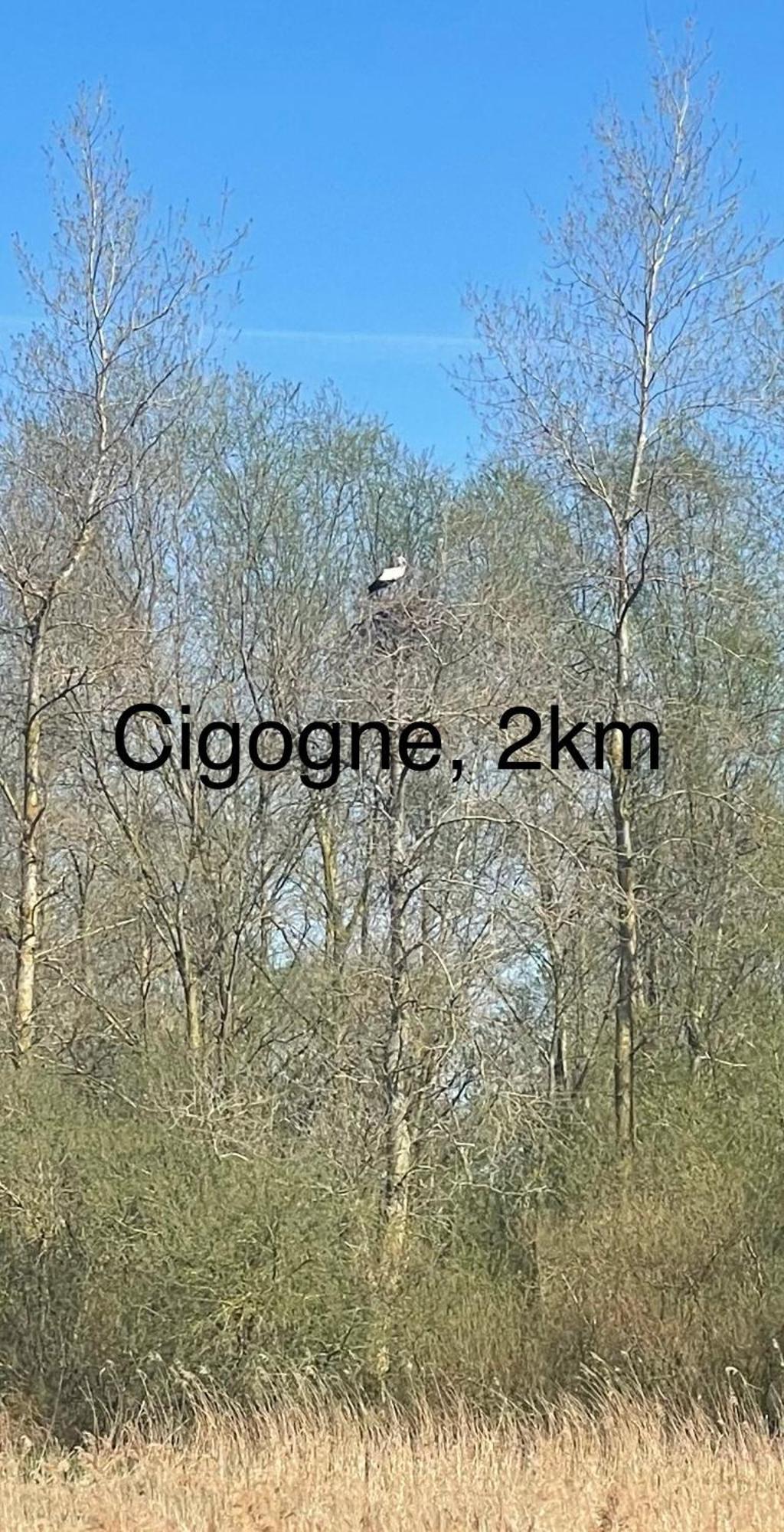 La Vue De Chateau, Maison Neuve En Baie De Somme Vaudricourt Εξωτερικό φωτογραφία